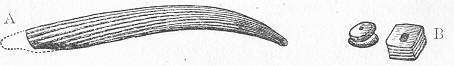 Fig. 75