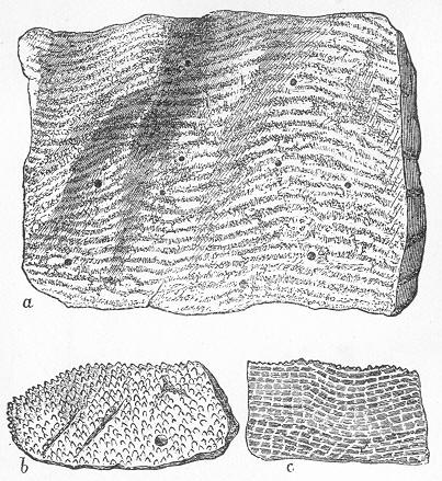 Fig. 79