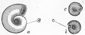 Fig. 86