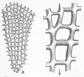 Fig. 92