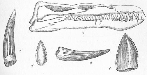 Fig. 152