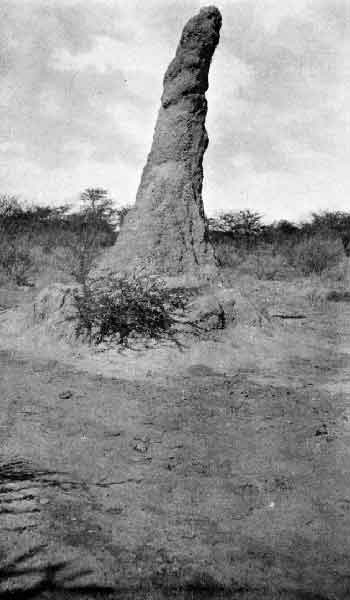 The Last Phase. Opposite the very spot where surrender was made. A vast ant-hill at 500 Kilometres