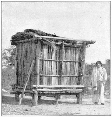 Tepehuane Store-house, near Lajas.