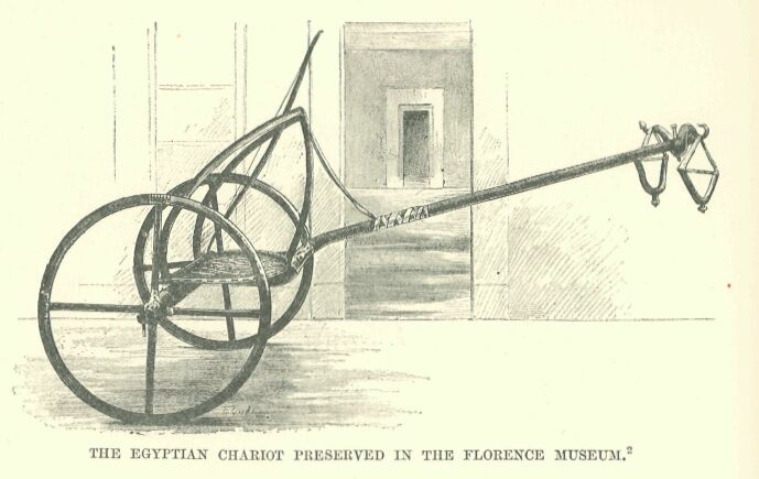 314.jpg the Egyptian Chariot Preserved in The Florence Museum 