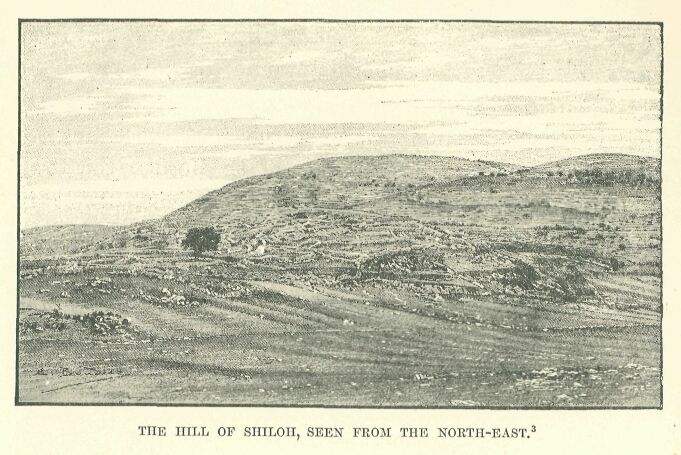 304.jpg the Hill of Shiloh, Seen from The North-east 