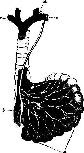 Illustration:
Fig. 32.