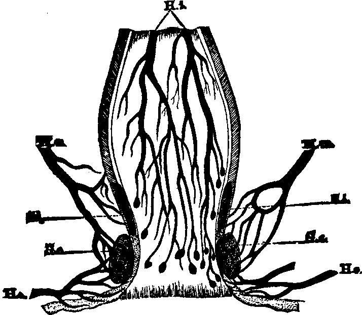 Illustration:
Fig. 3.