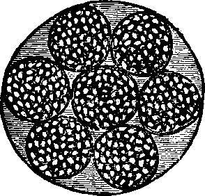 Illustration:
Fig. 8.