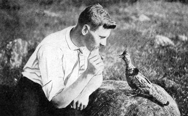 Making friends with a ruffed grouse.