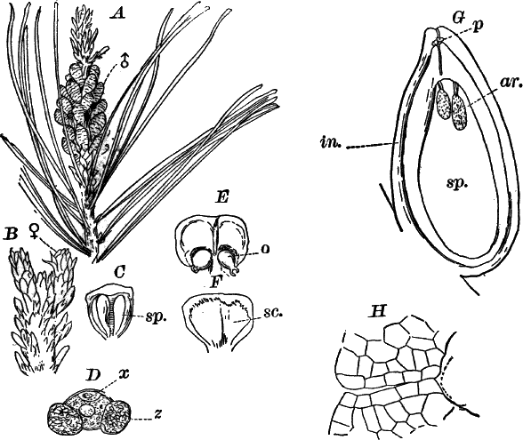 Fig. 77.