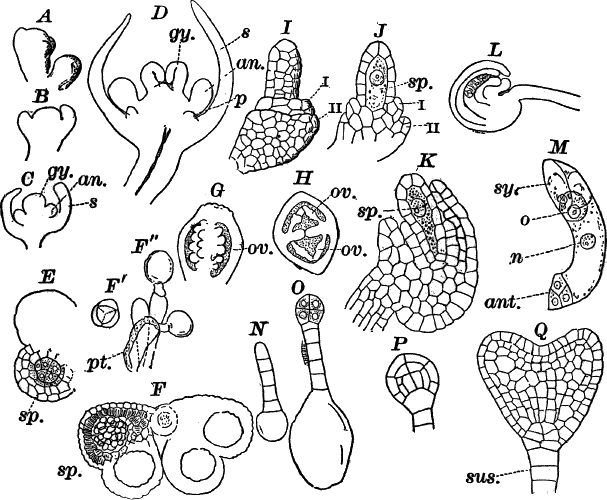 Fig. 95.