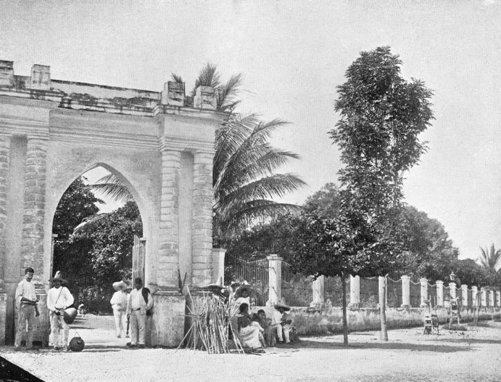 public garden at colima