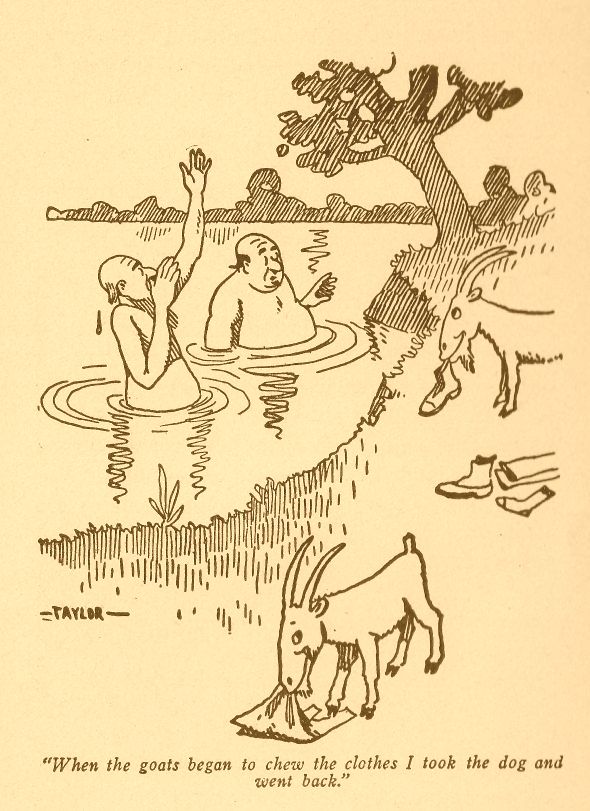 When the Goats Began to Chew The Clothes 375