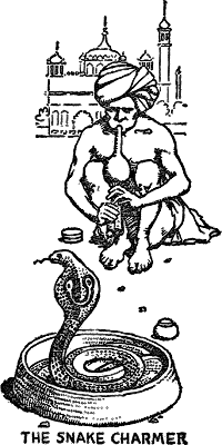 THE SNAKE CHARMER