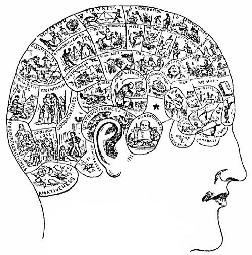 Phrenological chart