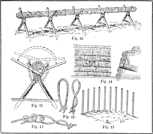 Plate II