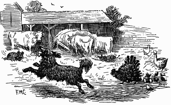 THE FARMYARD.