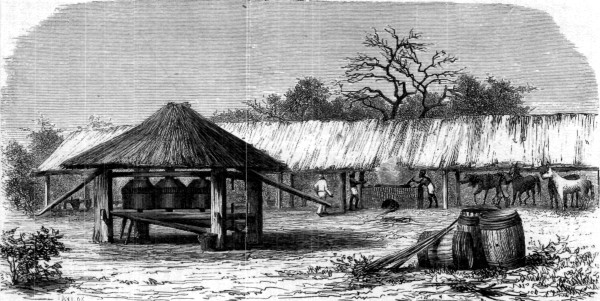 A SUGAR-HOUSE.