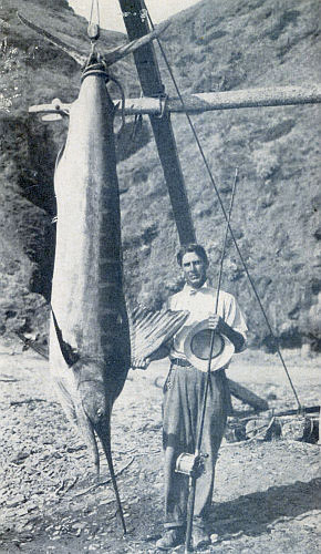 316-POUND SWORDFISH