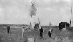 Children farming