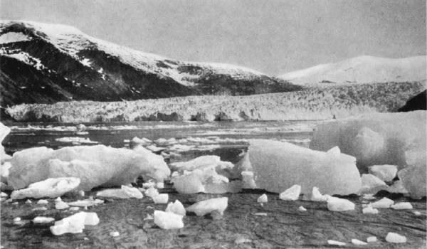 TAKU GLACIER