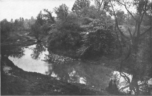 Every stream is wearing away its banks, while trees and
grass blades are holding on to the soil with all their roots