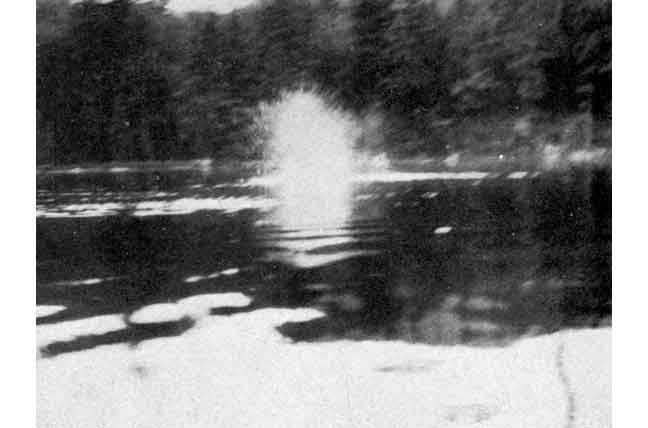 A Beaver Fountain