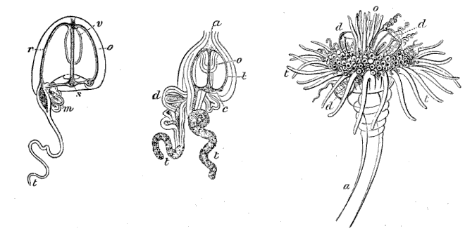 Fig 102-104