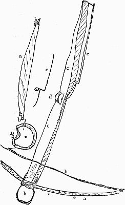 Norwegian cross-bow; linked to larger image.