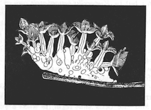 Illustration: Fig. 32.—Zoarium of
Lophopodella carteri moving along the stem of a water plant,  4. (From
Igatpuri Lake.)