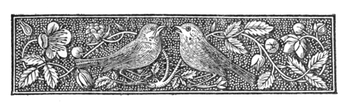 Illustration: Banner of two birds