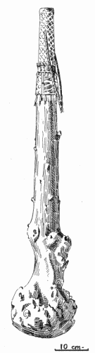 Fig. 9.—Wooden club.