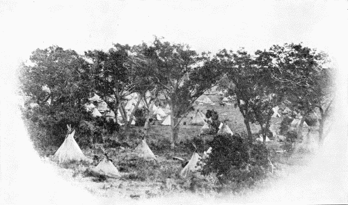 A CAMP IN A COTTONWOOD GROVE

Photograph not identified, but probably made by J. D. Hutton