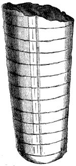 Fig. 57