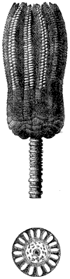 Fig. 82