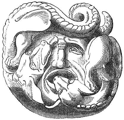 Fig. 25.—Anguish.