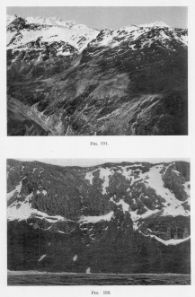 Fig. 191—The “pocked” surface characteristically
developed in the zone of light nivation. Compare with Fig. 194, showing
the effects of heavy nivation.