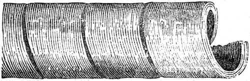 Spirals of Damascus