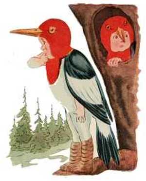 Wood-Pecker