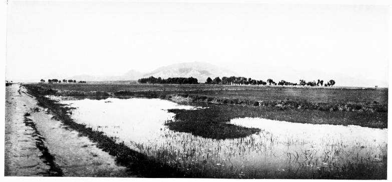 Fig. 231.—MOUNT ARGAEUS FROM NORTH-WEST.