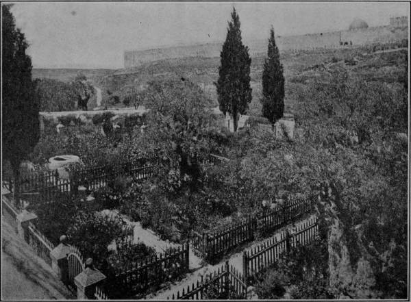 THE GARDEN OF GETHSEMANE